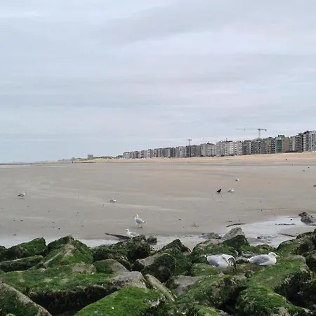 Near The Sea With Modern Comfort Koksijde