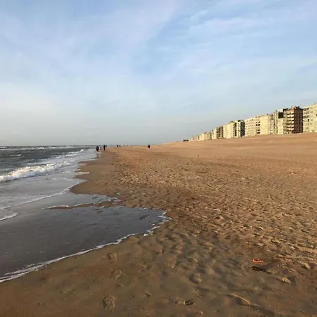 Apollo Gv01g In With Sea View Apartment Koksijde